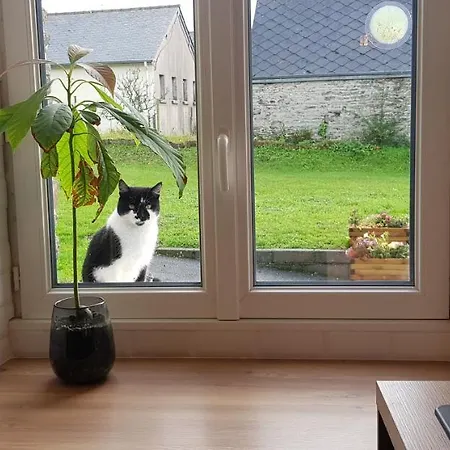 Les 3 Momes Holiday home *