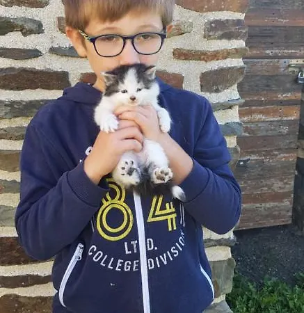 Les 3 Momes 뽕또흑송