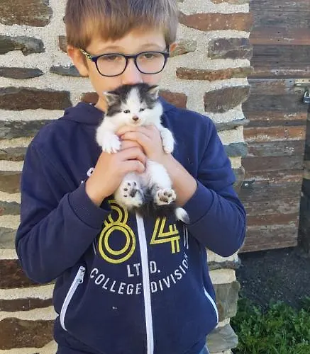 Les 3 Momes Pontorson