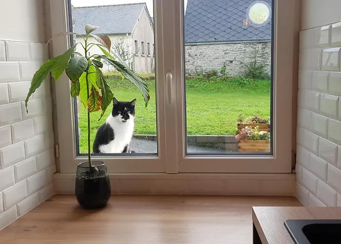 Les 3 Momes Ferienhaus *